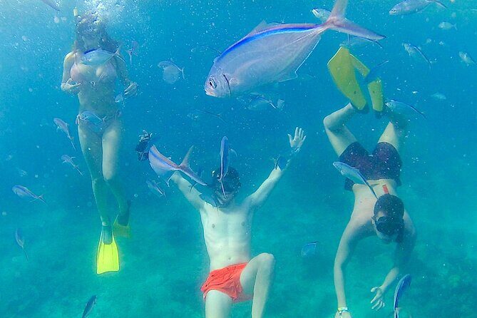 Catalina Island with Altos de Chavon - Full Day All Inclusive - Who Is This Tour Best For?