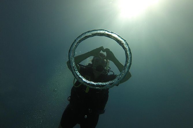 Catalina Island With Scuba Diving - Amazing Full Day Tour Activity - Who Will Enjoy This Tour?