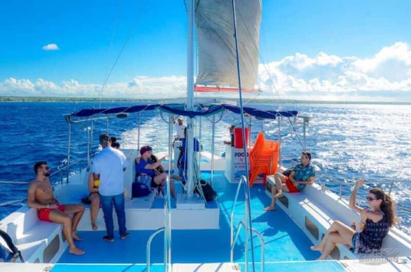 Catalina Island with Snorkel, Open Bar and Lunch - Practical Details & Considerations