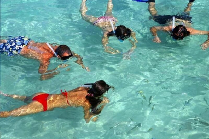 Catalina Island with Snorkel, Open Bar and Lunch - The Sum Up: Who Is This Tour Perfect For?