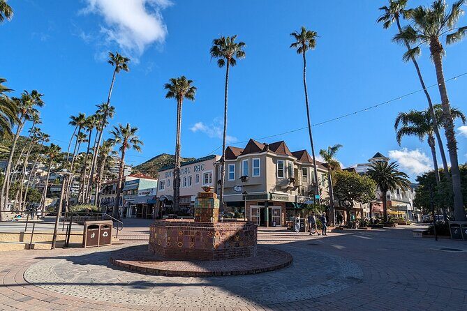 Catalina Scavenger Hunt Walking Tour and Game - Discover Catalina with a Self-Guided Scavenger Hunt