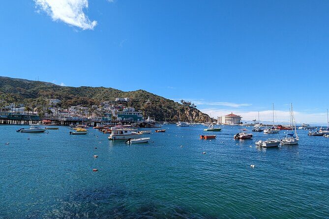 Catalina Scavenger Hunt Walking Tour and Game - An In-Depth Look at the Catalina Scavenger Hunt