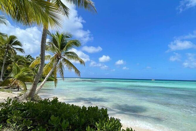 Catalina Snorkeling Wall and Altos Chavon Tour - The Sum Up