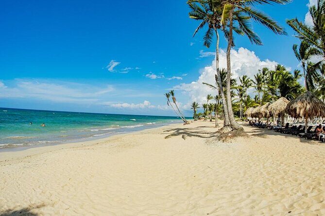 Catalina Snorkeling Wall and Altos Chavon Tour - FAQ