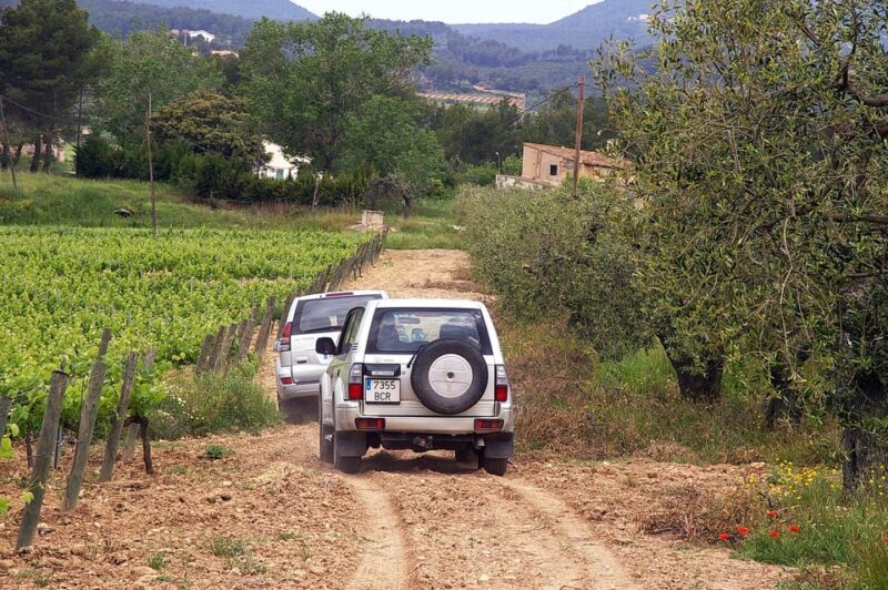 Catalonia: Unique, bespoke wine cellar visits - Exploring the Catalonia Wine Adventure: A Deep Dive
