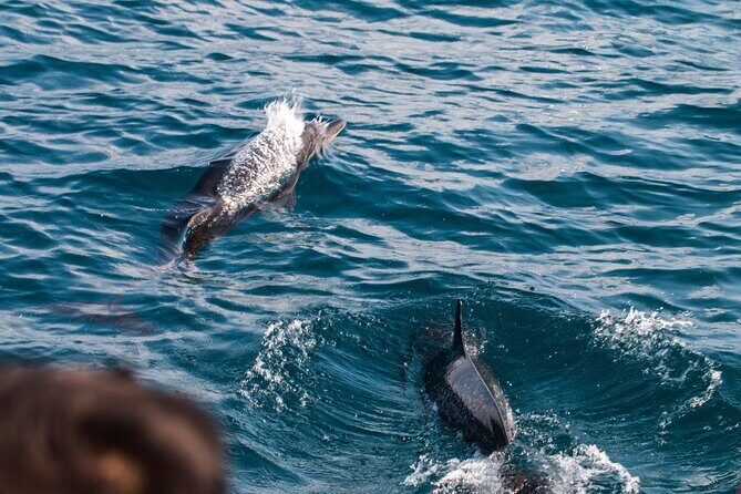 Catamaran and Snorkeling Tour in Costa Rica - FAQ