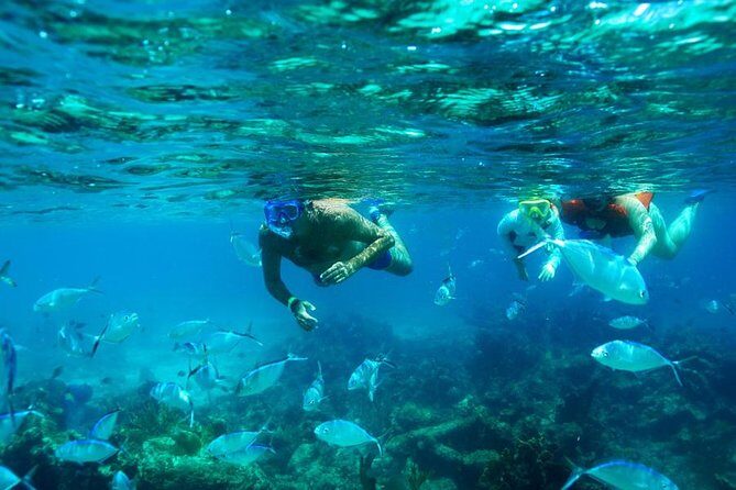 Catamaran Booze Cruise And Snorkeling Punta Cana - Adults Only - Punta Cana Catamaran Booze Cruise and Snorkeling: A Detailed Review