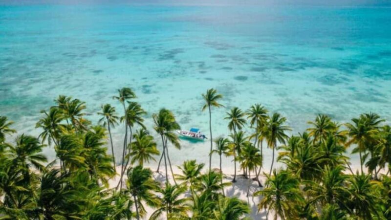 Catamaran Cruise on Saona Island with Lunch and Drinks - Discover the Beauty of Saona Island on a Catamaran Cruise