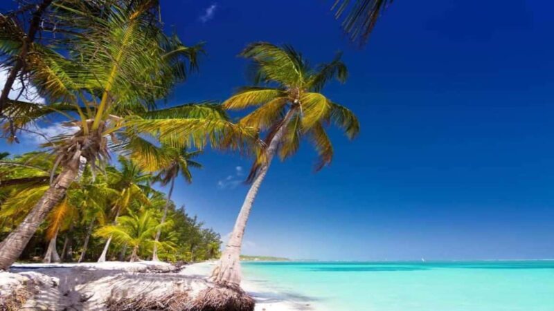 Catamaran Cruise on Saona Island with Lunch and Drinks - FAQ