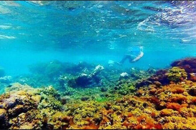 Catamaran Cruise with Dunns River Falls from Montego Bay - Exploring the Itinerary in Detail