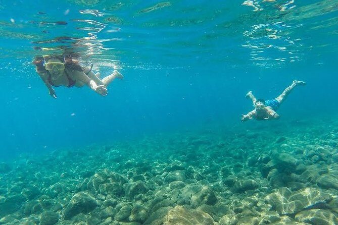 Catamaran Day Cruise to Desertas Islands from Funchal - Who Would Enjoy This Tour?