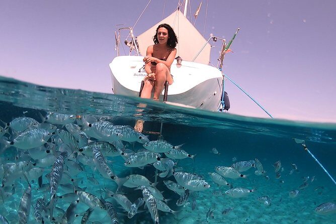 Catamaran excursions in the Asinara island National park - Final Thoughts