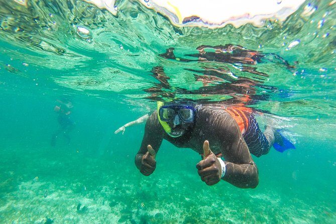 Catamaran Group Sightseeing, Snorkeling Tour Isla Mujeres - Snorkeling and Marine Highlights