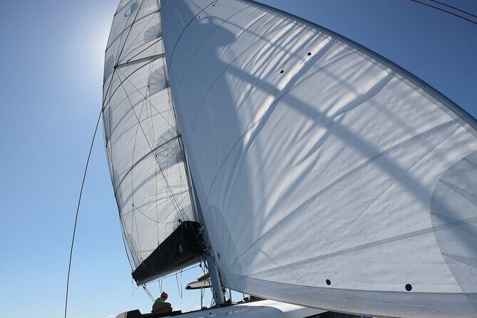 Catamaran in Alghero, daily boat trip - Itinerary details: what to expect at each stop