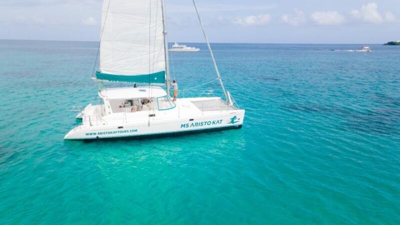 Catamaran Party Cruise and Snorkeling from Montego Bay - Authentic Experiences and Traveler Tips
