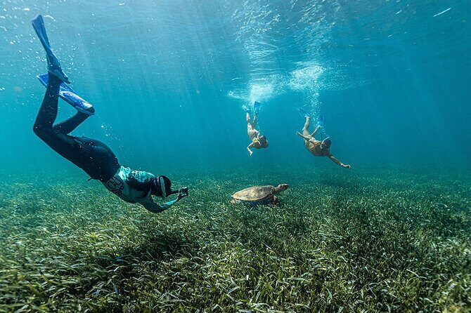 Catamaran Plus Reef Snorkeling and Isla Mujeres Visit - Final Thoughts