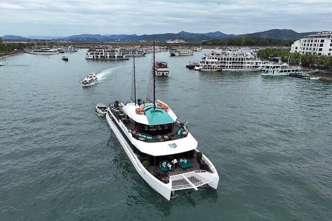 Catamaran Premium Cruise to Halong Bay & Lan Ha Bay in 1 Day Tour - Experience the Best of Halong and Lan Ha Bays in One Day