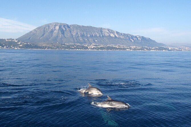Catamaran ride with aperitif and white wine from Denia - A Detailed Look at the Experience
