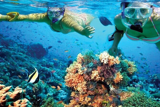 Catamaran Sailing to Isla Mujeres with Snorkeling, Lunch & Open Bar included - Practical Tips for Future Travelers