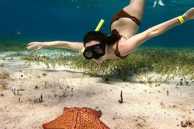 Catamaran Sky Tour in Cozumel - Final Thoughts