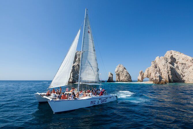 Catamaran Snorkel at Los Cabos! Gorgeous Snorkel & Party + Round Transportation - Authentic Experiences and Practical Insights