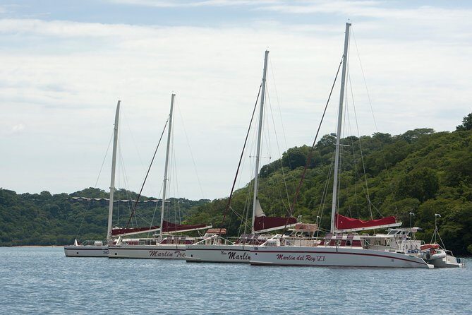 Catamaran Snorkeling & Sunset Sailing Tour - A Relaxed, Well-Equipped Water Day in Costa Rica