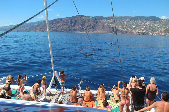Catamaran Sunset Cruise from Funchal - Who Will Love This Tour?