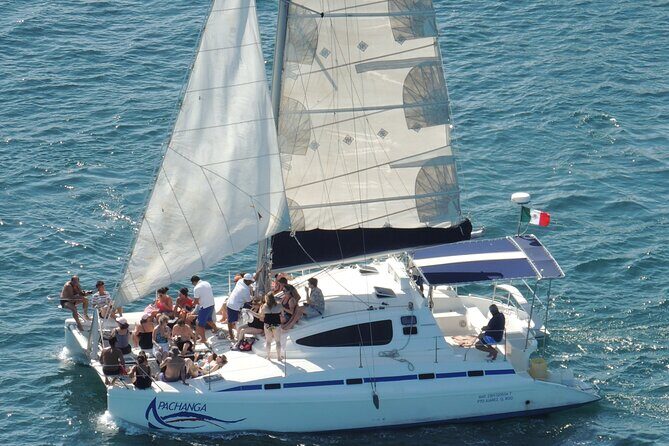 Catamaran to Isla Mujeres: Snorkel MUSA, Playa Norte & Buffet - Key Points