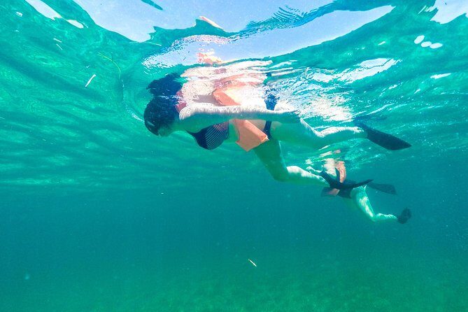 Catamaran to Mujeres Island with Open Bar on Board from Cancun - Analyzing the Value