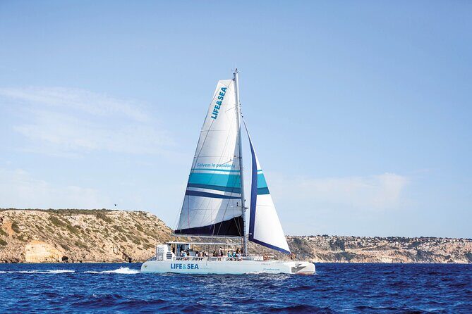 Catamaran with BBQ in the Bay of Palma - An Overview of the Experience