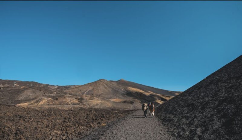 Catania: Etna Morning Excursion with Tasting and Pickup - Discover Mount Etna with a Guided Morning Tour from Catania