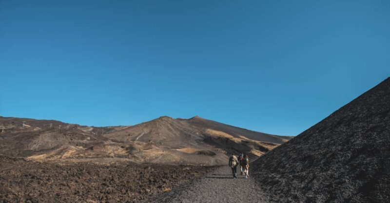 Catania: Etna Morning Excursion with Tasting and Pickup - What Makes This Tour Stand Out?