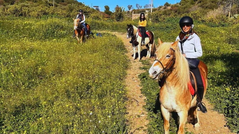 Catania: Guided Horseback Ride in Misterbianco Countryside - Key Points