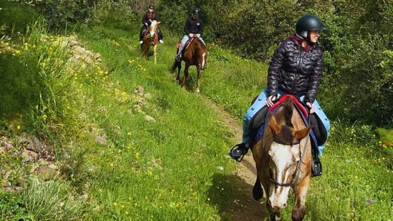 Catania: Guided Horseback Ride in Misterbianco Countryside - Who Should Consider This Tour?