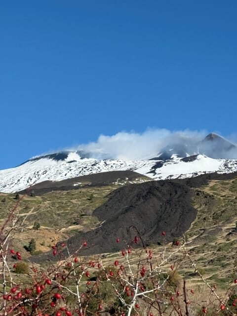 Catania: Mount Etna Morning Jeep/Van Tour - Final Thoughts