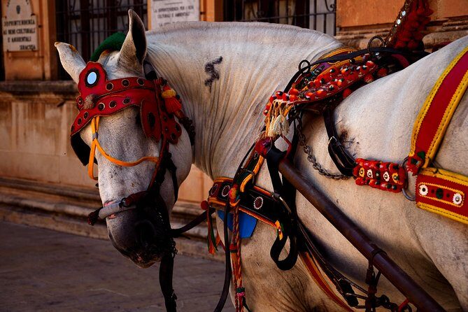 CATANIA TRANSFER to or from TAORMINA, GIARDINI NAXOS or SYRACUSE - A Closer Look at the Experience
