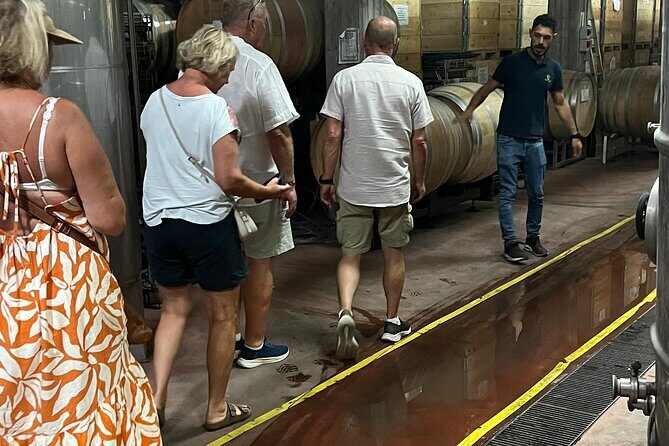 Catania: Wine Tour - Key Points