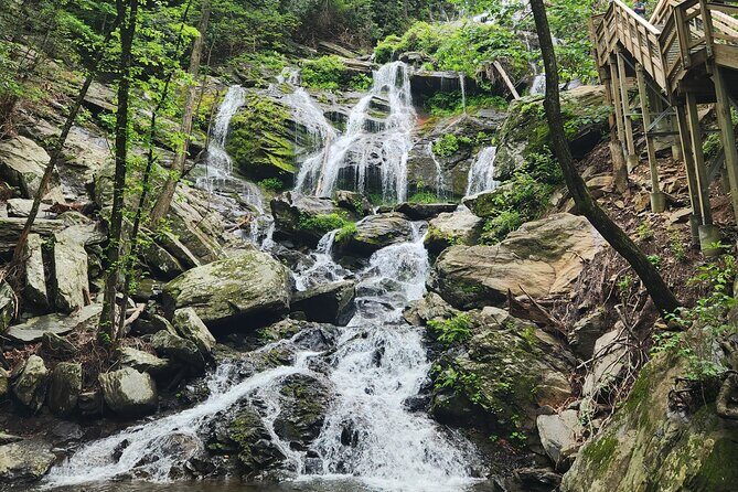Catawba Waterfall Hike Half Day Tour - An In-Depth Look at the Catawba Waterfall Hike