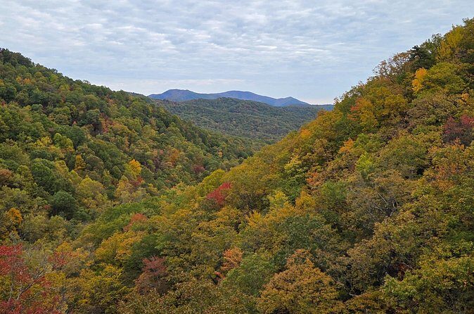 Catawba Waterfall Hike Half Day Tour - Considerations and Who It’s Best For