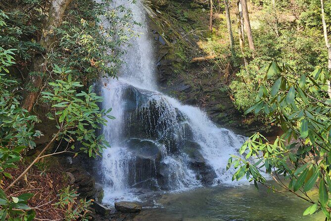 Catawba Waterfall Hike Half Day Tour - Final Thoughts