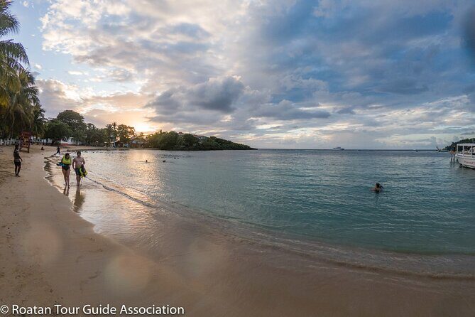 Catch a ride to West End & back to Port, Hotel or Airport (Roundtrip Transfer) - What to Expect During Your Transfer