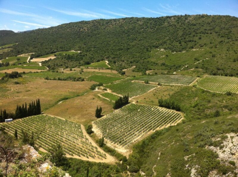Cathar Castles: Quéribus and Peyrepertuse - Final Thoughts