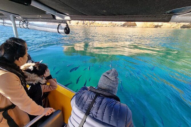 Cathedral Cove 2 Hour Guided Tour Explore Marine Wonders - Exploring the Coromandel Coastline: What to Expect