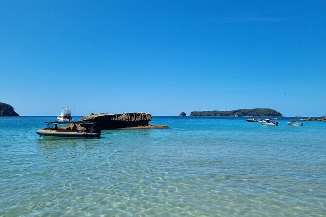 Cathedral Cove 2 Hour Guided Tour Explore Marine Wonders - Who Should Consider This Tour?