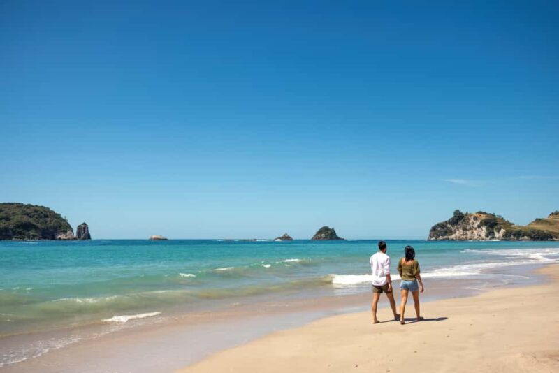 CATHEDRAL COVE & HOT WATER BEACH Day Tour from Auckland - A Deep Dive into the Cathedral Cove & Hot Water Beach Tour