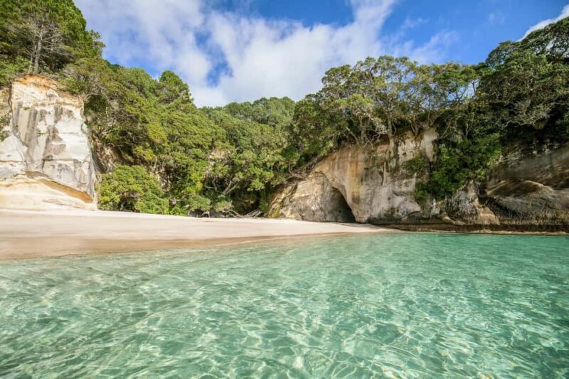 CATHEDRAL COVE & HOT WATER BEACH Day Tour from Auckland - Why This Tour Delivers Value