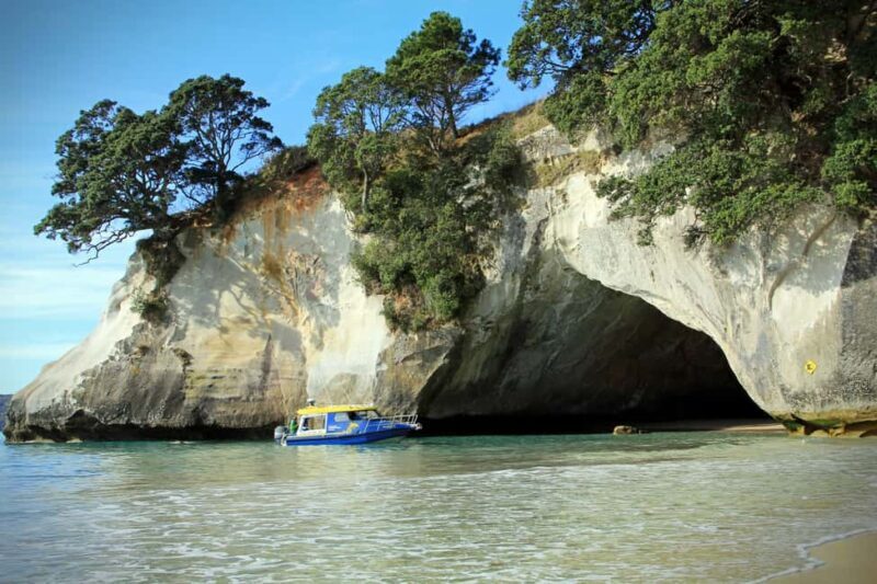 CATHEDRAL COVE & HOT WATER BEACH Day Tour from Auckland - In The Sum Up