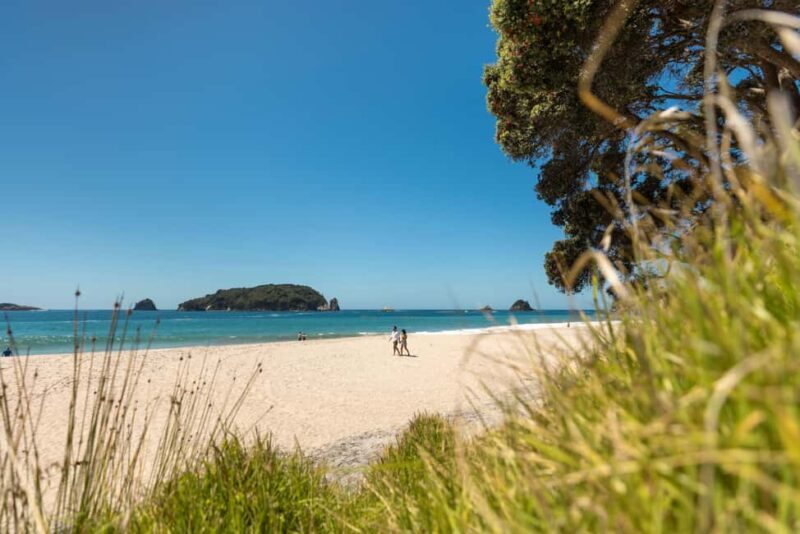 CATHEDRAL COVE & HOT WATER BEACH Day Tour from Auckland - FAQ