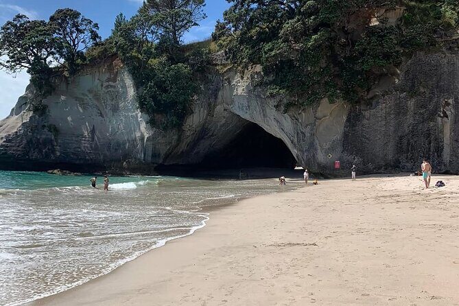 Cathedral Cove & Hot water beach -Full Day Tour: PRIVATE TOUR - Exploring the Itinerary in Detail