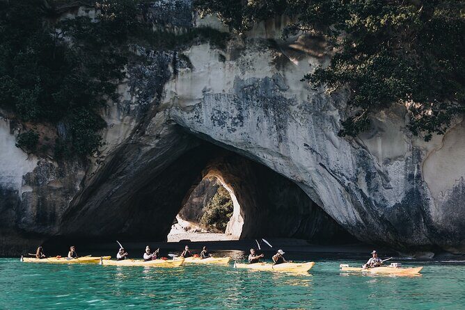 Cathedral Cove Kayak Tour - Key Points